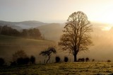 Paysage brumeux au levé du soleil